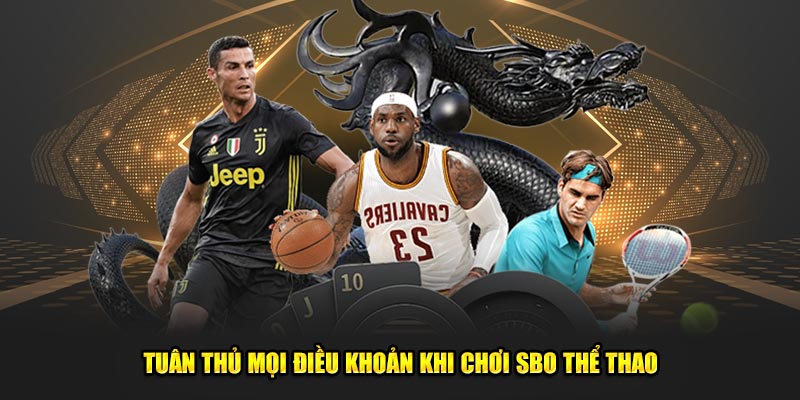 SBO Thể Thao - Danh Mục Đáng Trải Nghiệm Tại God88 3 Tuan-thu-moi-dieu-khoan-khi-choi-SBO-the-thao