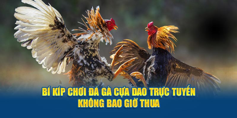 4 bi-kip-choi-da-ga-cua-dao-truc-tuyen-khong-bao-gio-thua